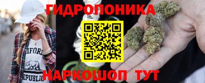 скорость Аргун