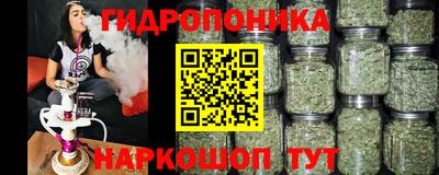 скорость Аргун